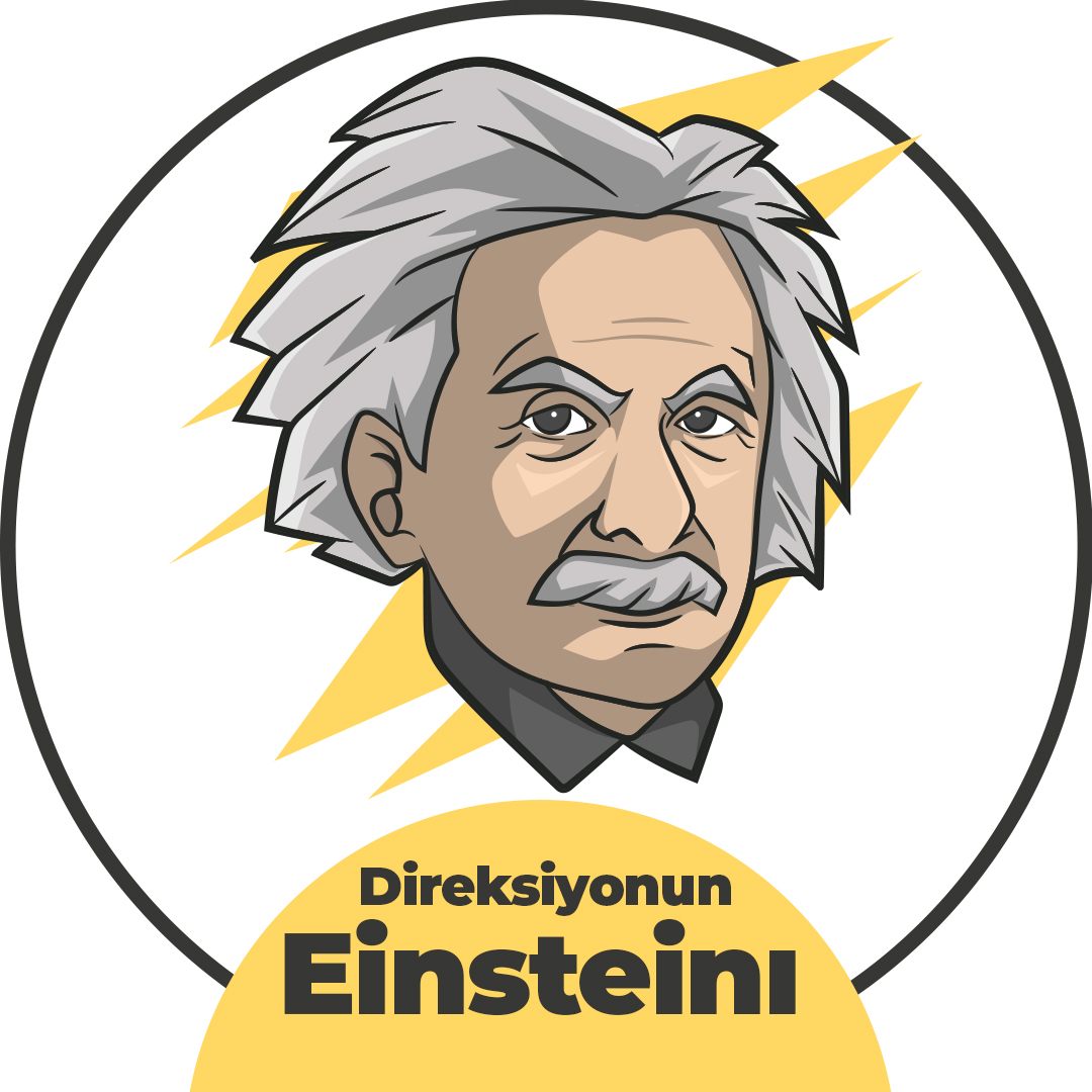 Direksiyonun Einsteini